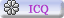 ICQ Number